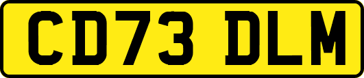 CD73DLM