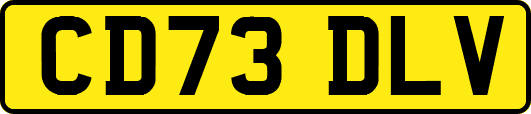 CD73DLV