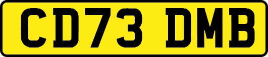 CD73DMB