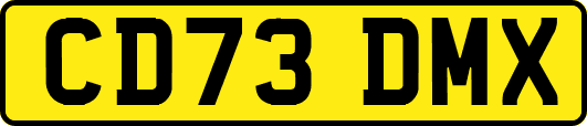 CD73DMX