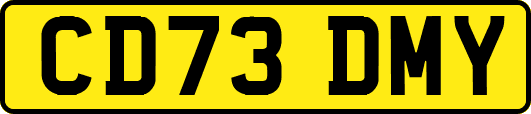 CD73DMY