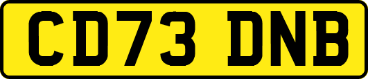 CD73DNB