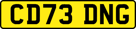 CD73DNG