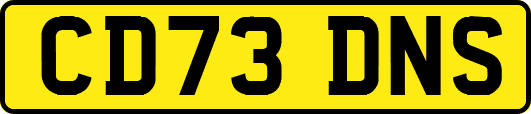 CD73DNS