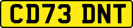 CD73DNT