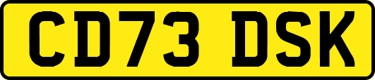 CD73DSK