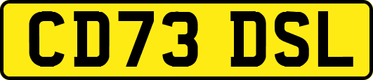 CD73DSL