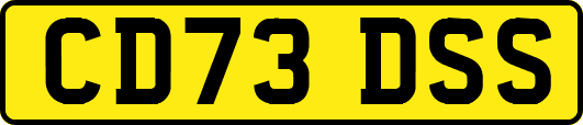 CD73DSS