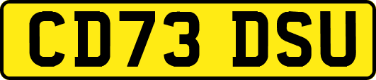 CD73DSU