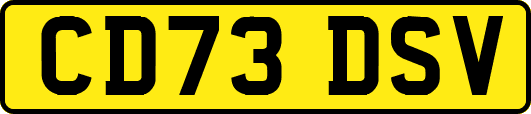 CD73DSV