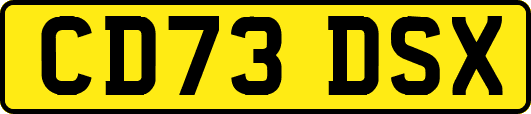 CD73DSX