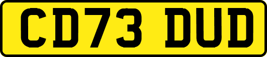 CD73DUD