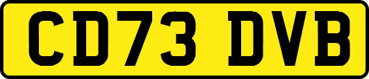 CD73DVB