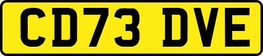 CD73DVE