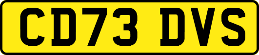CD73DVS