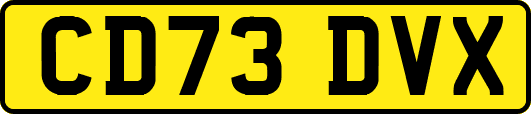 CD73DVX