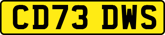 CD73DWS