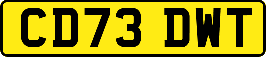 CD73DWT