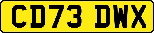 CD73DWX