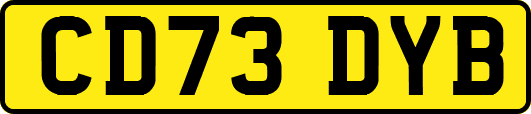 CD73DYB
