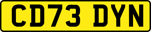CD73DYN