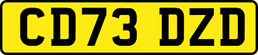 CD73DZD