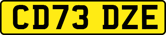 CD73DZE