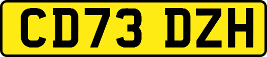 CD73DZH
