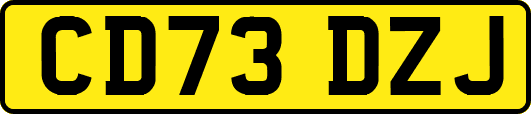 CD73DZJ