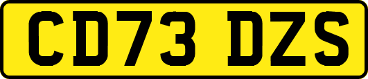 CD73DZS