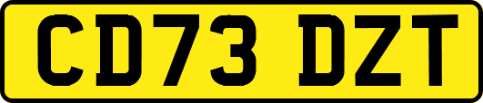 CD73DZT