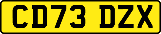 CD73DZX
