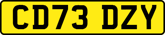 CD73DZY