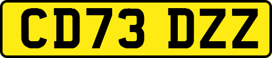 CD73DZZ