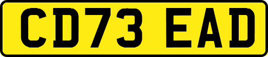 CD73EAD