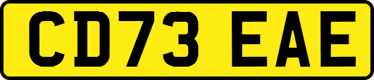 CD73EAE