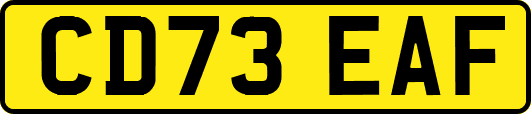 CD73EAF