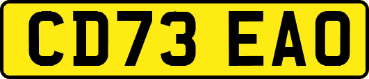 CD73EAO