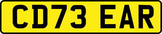 CD73EAR