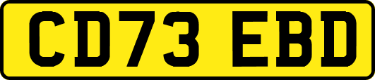 CD73EBD