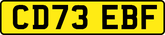 CD73EBF