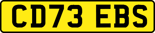 CD73EBS