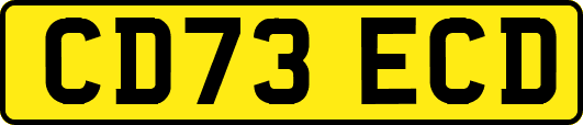 CD73ECD