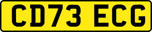 CD73ECG