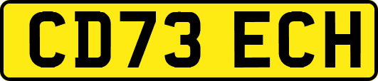 CD73ECH