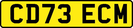 CD73ECM