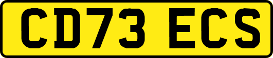 CD73ECS