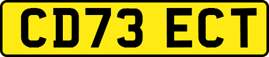 CD73ECT