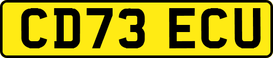 CD73ECU