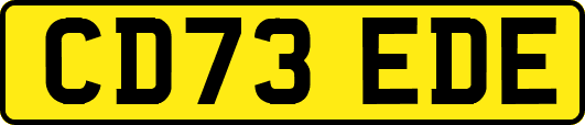 CD73EDE